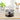 1-Tier Spice Rack with 6 Glass Jars