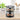 2-Tier Spice Rack with 12 Glass Jars