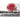 Canvas - Park Bench with Red Trees - Magasins Hart | Hart Stores