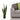 Green Sansevieria Plant