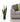 Green Sansevieria Plant