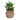 Plantes artificielles de panier d'armure