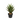 Plante Artificielle Aloès