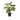 Plante Artificielle Taro