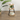 Foxglove - Accent Table
