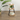 Foxglove - Table d'appoint