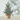 Xmas Pine Tree In Burlap 21