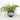 Dario Porcelain Planter Vase