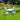 5-Piece Outdoor Dining Set