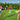 Bestway - Flying Fun Yard Game 