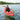 Argo Kayak 100x Rouge