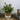 Grass Cement Stitch Pot Grey Beige 22x23