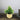 Grass Cement Pot Yellow Speck 15x19