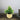 Grass Cement Pot Yellow Speck 15x19