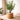 Olive Tree 55cm Wicker Pot Green - Magasins Hart | Hart Stores