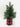 Xmas Pine Tree in Plaid Fabric Base Cup - Magasins Hart | Hart Stores