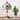 Touch Lamp - Gold Base - Magasins Hart | Hart Stores