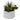 Artificial Succulents Plants in Elephant Pot & White Pot - Magasins Hart | Hart Stores