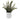 Artificial Eucalyptus Plant in white ceramic pot