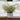 Artificial Fern in White Cement Pot