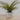 Artificial Fern in White Ceramic Footed Pot
