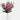 Adrien Lewis - Assorted Artificial Flowers