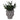 Artificial Succulent Plant in Buddha Head Cement Pot