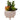 Artificial Succulent Plants in White Ceramic Footed Pot