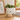 Kawaii Cat Ceramic Planter with Wooden Legs – Decorative Pot - Magasins Hart | Hart Stores