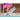 Bestway® Transparent Floating Pool Mat 1.83 m x 76 cm - Magasins Hart | Hart Stores