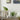 Grass Plant Cement Pot