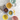  Pad Printed Bowls Colors