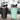 600ML DOUBLE LAYER VACUUM CUP ASSORTED