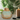 Light Wood Diffuser 400ml