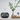 Dark Wood Diffuser with USB 400ml
