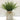 Greens In White Pot W/jute 