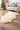 Faux Sheepskin Accent Rug 24X35" - Magasins Hart | Hart Stores