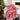 Fair Isle Velour & Sherpa Throw - Magasins Hart | Hart Stores