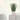Tall Grass In Cement Leaf Pot 12.5*33