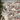 4pk Cotton Gnomes 13x19 Placemat