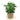 GRASS IN CEMENT WEAVE LOOK POT 23X30.5
