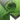 Artificial  Grass Rug
