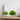Grass In White Porcelain Pot 14.5*10.5