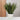 Grass Ceramic Chevron Pot