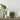 Tree Bush Bamboo Look Pot