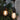 Guirlande de 12 ampoules DEL Edison S14