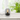 Glass Dome Table Lamp