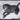LAUREN TAYLOR - Animal canvas 62X92X4 CM - Magasins Hart | Hart Stores