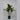 Lauren Taylor - Artificial Dracanea Tree in Black Pot - Magasins Hart | Hart Stores