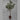 Lauren Taylor - Artificial Eucalyptus Tree in terra cotta Pot - Magasins Hart | Hart Stores
